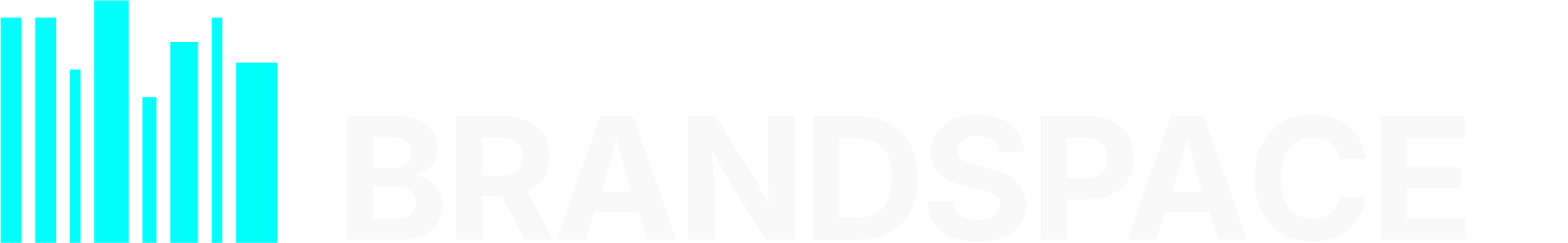 BrandSpaceAI Logo